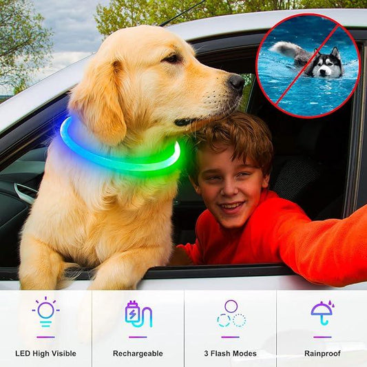 Golden retriever with LED glow collar and smiling boy in car, LED dog safety collar features below.