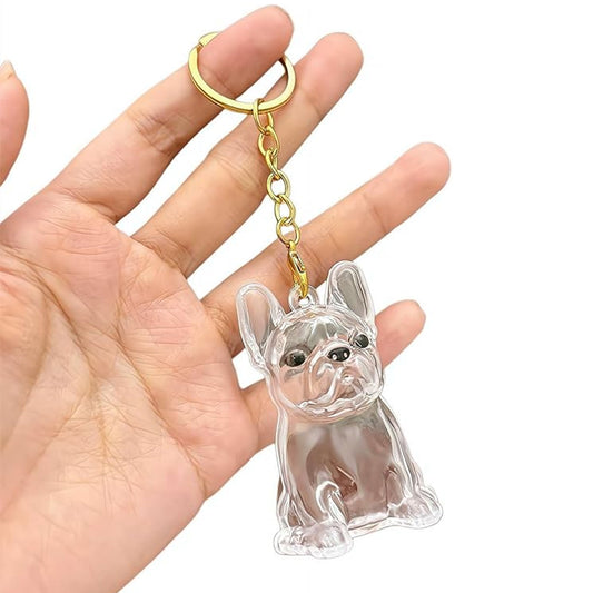 宠物毛发纪念钥匙扣,防水透明材质,宠物毛发收藏挂件,适合纪念宠物的毛发饰品