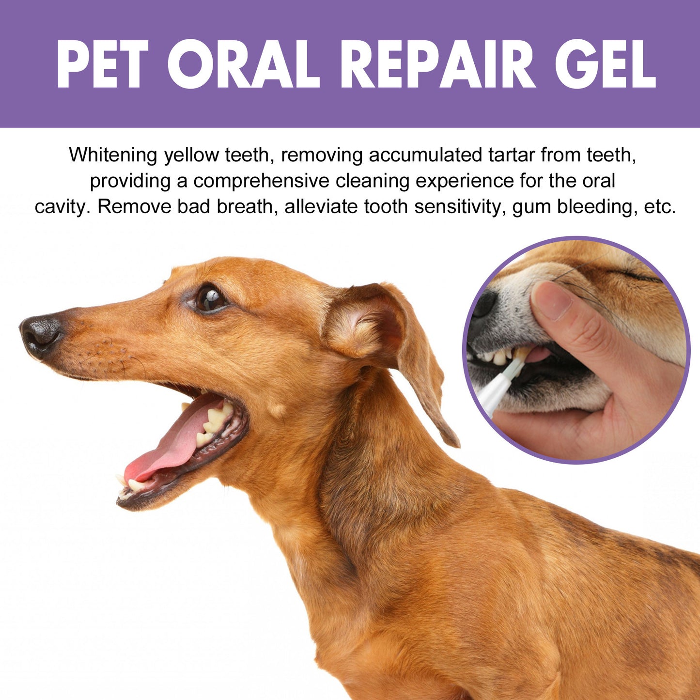 Pet Oral Repair Gel – Whitening & Tartar Removal for Dogs & Cats