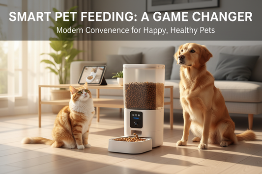 How to Choose the Best Automatic Pet Feeder: A Complete Buying Guide
