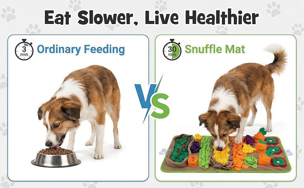 Dog eating from metal bowl versus slow feeding on colorful snuffle mat for healthy eating.