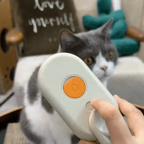 Mist Massage Brush： Quick & Easy Pet Hair Remover Comb