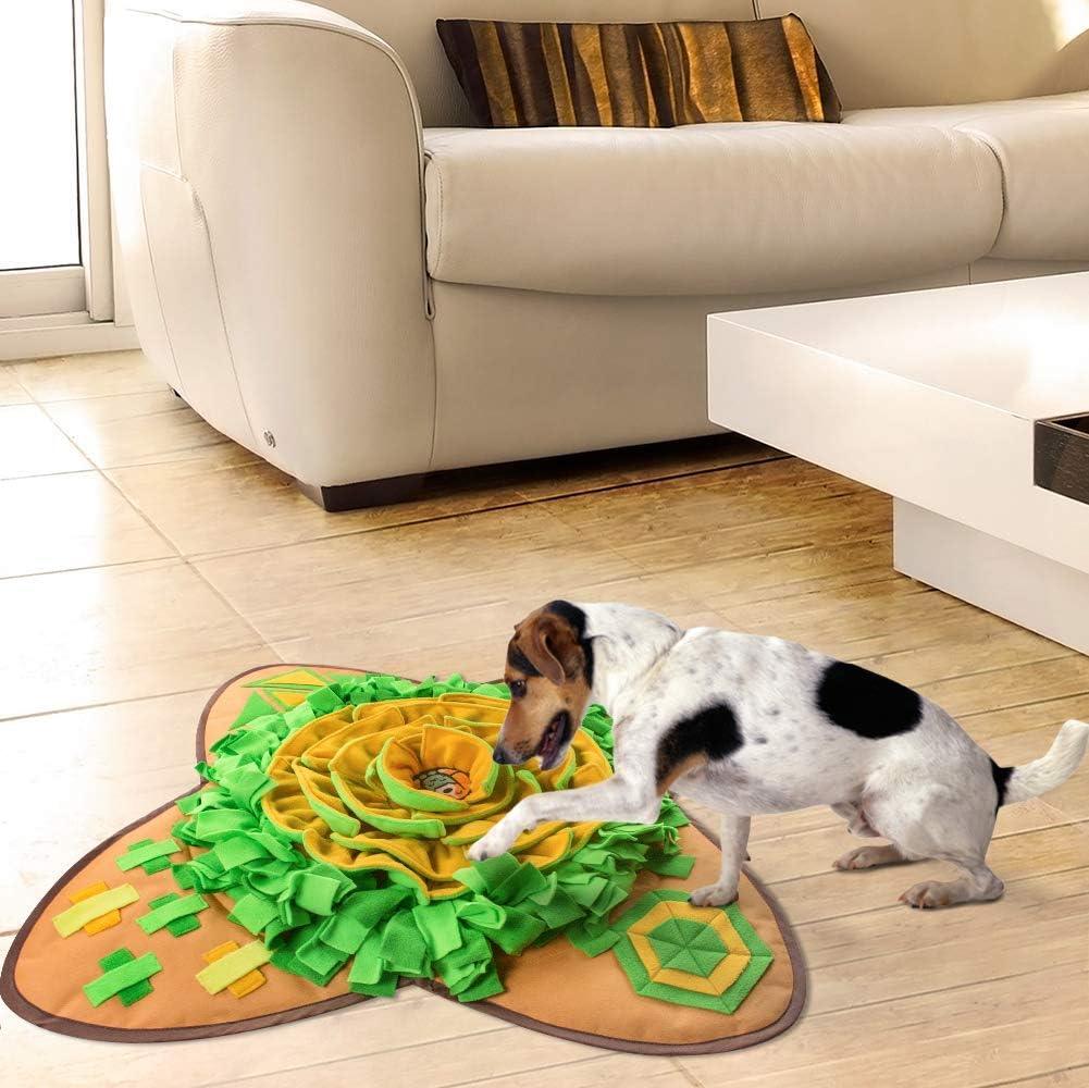 Small dog playing with interactive flower-shaped snuffle mat on living room floor