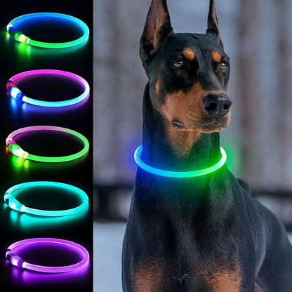LED glow dog collars in multiple colors and a black dog wearing a green illuminated collar outdoors.