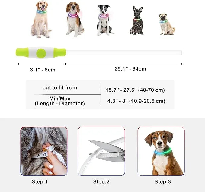 Adjustable LED dog collar with sizing guide, fitting instructions, and dogs wearing glowing collars.
