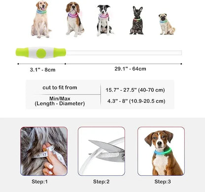 Adjustable LED dog collar with sizing guide, fitting instructions, and dogs wearing glowing collars.