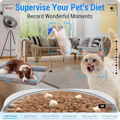 Pet monitoring camera shows a dog resting, a cat playing, and another cat by an automatic feeder in a modern living room.