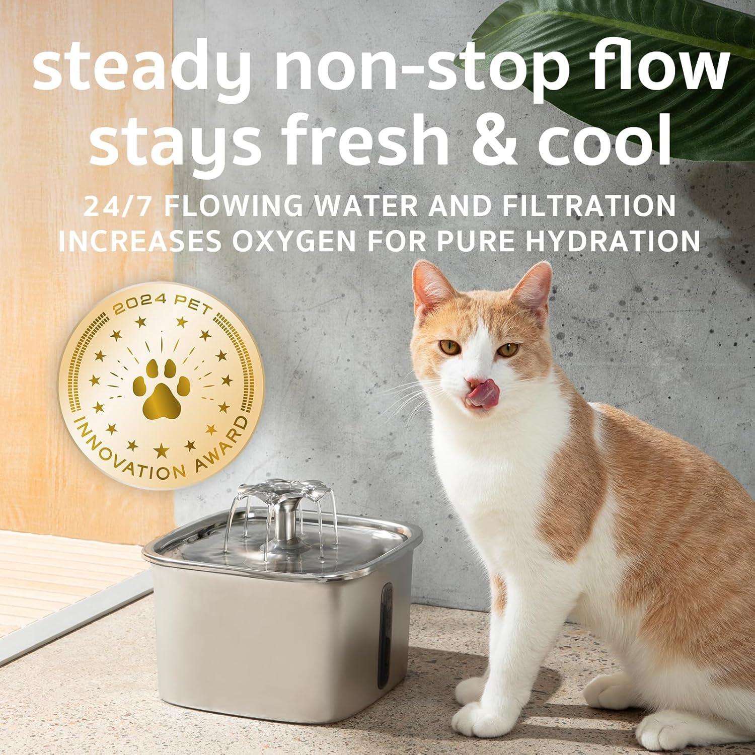 Orange and white cat next to stainless steel pet water fountain with flowing water, award badge