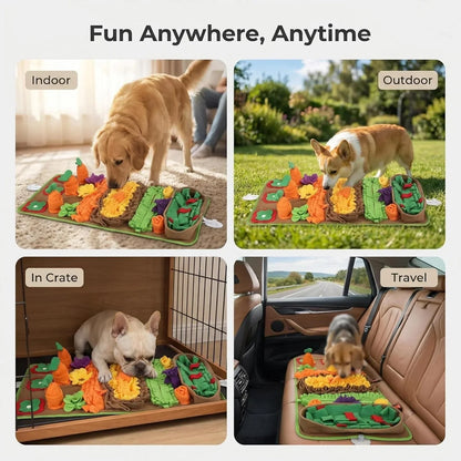 Dogs playing with colorful snuffle mat toy indoors, outdoors, in a crate, and during travel.