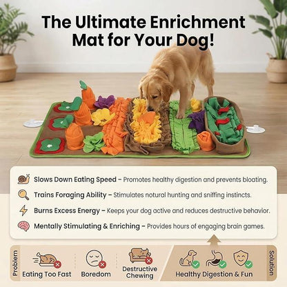 Dog enjoying colorful enrichment snuffle mat for slow feeding, foraging, and mental stimulation