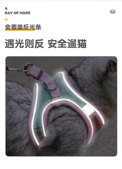 Cat Harness & Leash