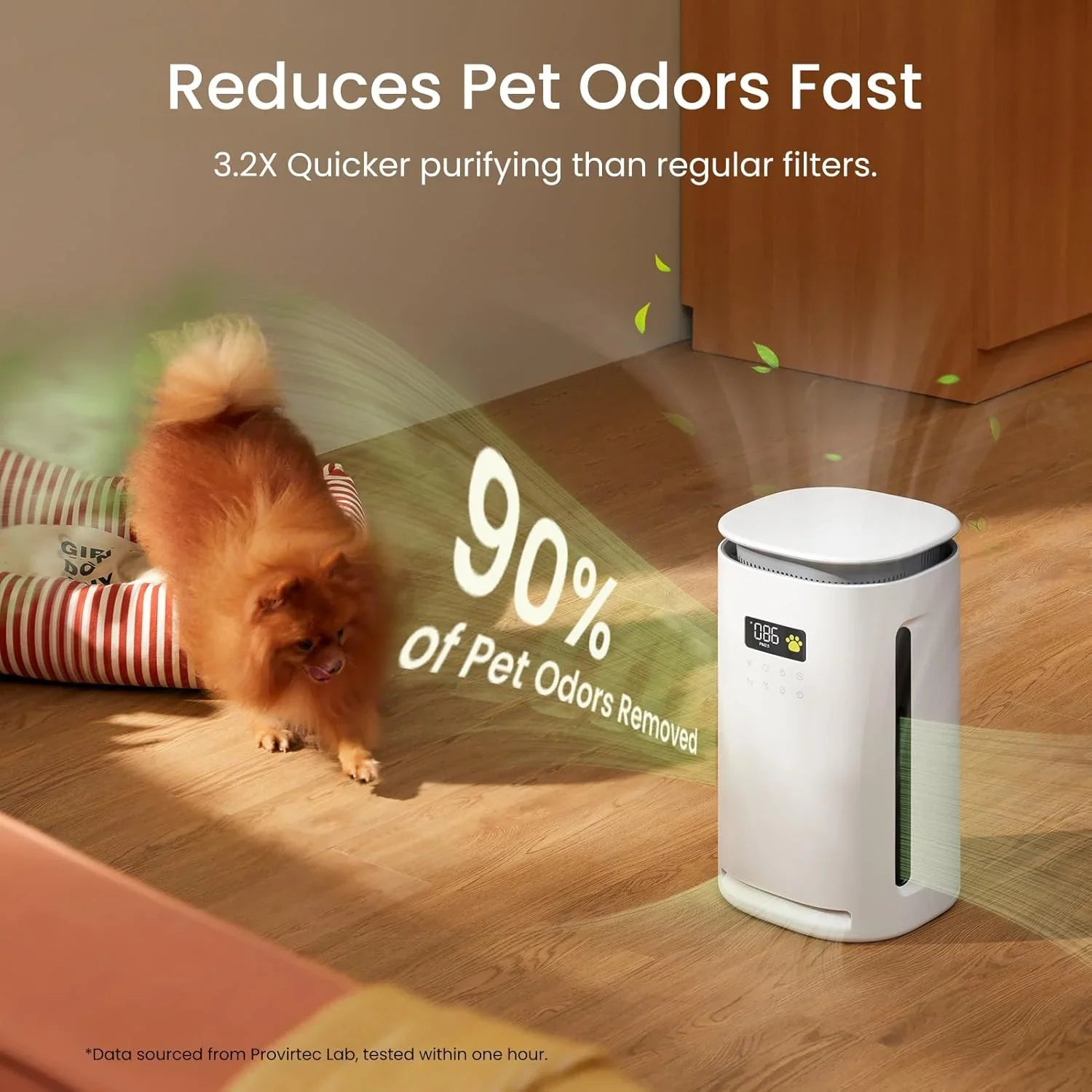 Air purifier for pets removing odors in room with small dog and dog bed