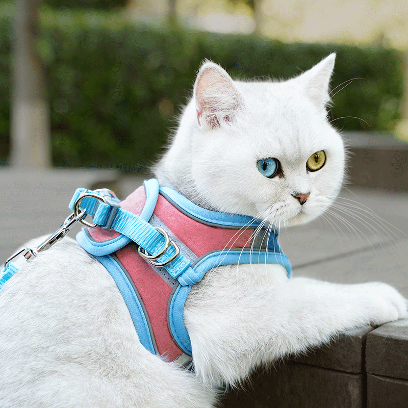 Cat Harness & Leash