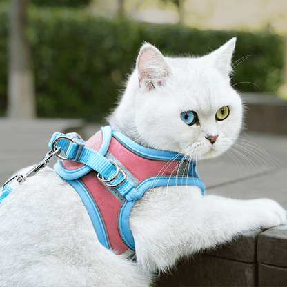 Cat Harness & Leash