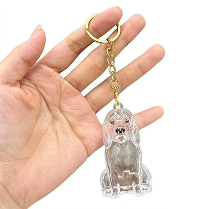 宠物毛发纪念钥匙链，防水透明材质宠物毛发收藏吊坠，Getlivory品牌宠物纪念品