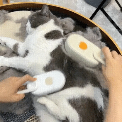 Mist Massage Brush： Quick & Easy Pet Hair Remover Comb