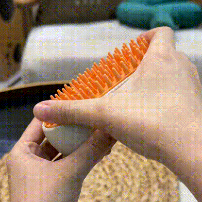 Mist Massage Brush： Quick & Easy Pet Hair Remover Comb
