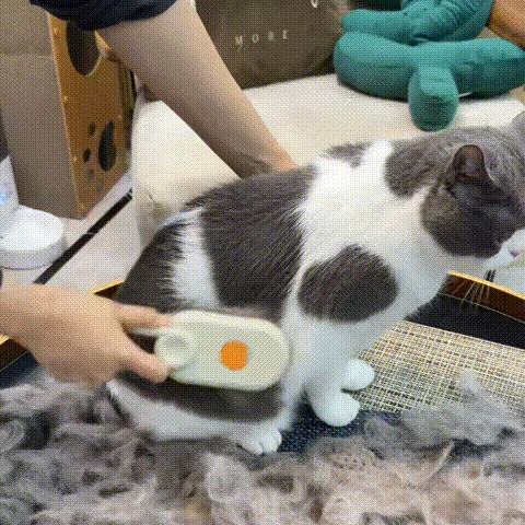 Mist Massage Brush： Quick & Easy Pet Hair Remover Comb