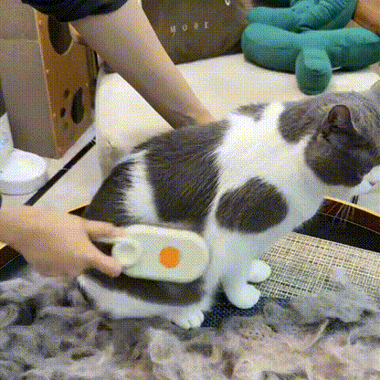 Mist Massage Brush： Quick & Easy Pet Hair Remover Comb
